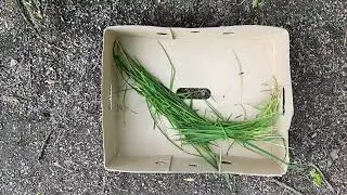 Modellbautag am Gymnasium Mellendorf (Ausschnitte aus dem Erkl&auml;rvideo )
