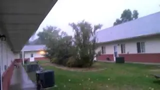 RAINING sprinkles
