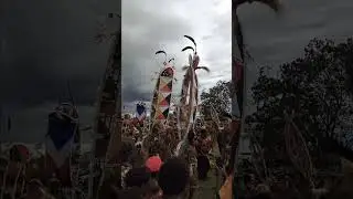 #png Goroka show