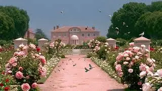 Pink Medieval House Ambience | Instrumental Romantic Party Music & Nature sounds