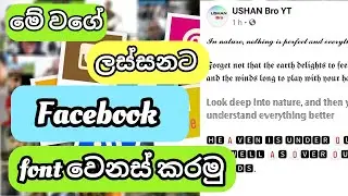 Facebook Font Change In Sinhala | FB Font Style Change Without App (Simple and Easy Method)