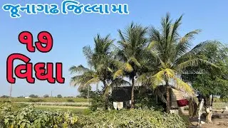 જૂનાગઢ જિલ્લા ના પ્રાસલી ગામે ૧૭ વિઘા ☎️૯૫૮૬૨૫૭૬૯૭