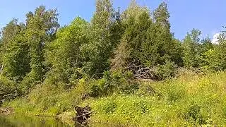 VID 20220805 100326