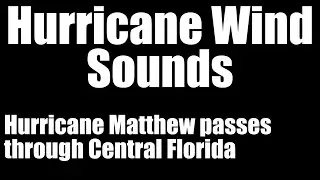 Hurricane Wind Sounds | 4 Hours of Hurricane Matthew Sounds as it passes Central Florida