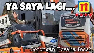 LAGI LAGI PINDAHAN POOL‼️Rosalia Indah penuhi Kapal Express Athaya.. Handoyo Puspa Jaya membayangi