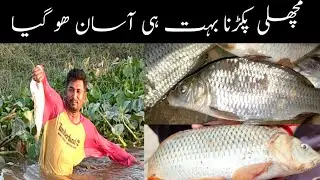 fish hunting | Amazing fish Rahu skill, catching big fish by pk Altaf Ahmad Secrets