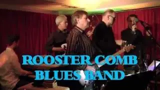 Rooster Comb Blues Band - Live im Maximal Rodgau