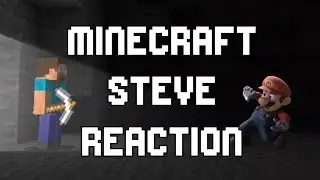 MINECRAFT STEVE IS IN SMASH WHAT??????!!!