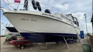 Брум Оушен 42
