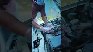 Stop Rats in Your Car Engine | Pestaxe Rat Guard Spray & Gel Review