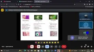 Patogenia viral 04-08 