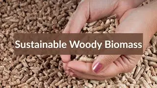 Sustainable Woody Biomass