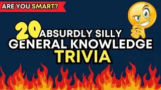 I Quizzed America On Absurdly Funny Hard Trivia Questions