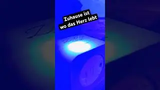 Zuhause ist wo das Herz lebt #pinselara