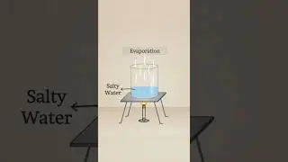 How can we seprate salt from water