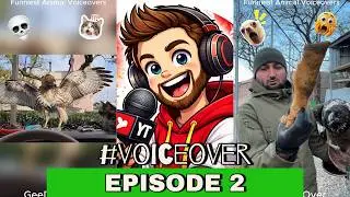 GeeDubzOver Animal Voiceover Episode 2