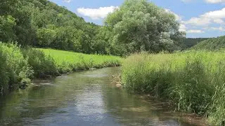 Fishing West Branch Beaver Creek, SE Minnesota