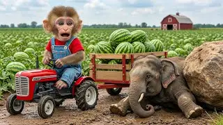 Farm Work: EPIC Rescue! Monkey Drives Tractor to Save Trapped Elephant! 😱🚜🐘 | NANA MONKEY