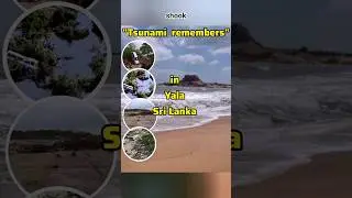 Yala National Park🌊🐾 Tsunami 2004 &mdash; Untold Sri Lanka Wildlife Story bluesafarijeepcamping