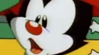 Wakko&rsquo;s America but it&rsquo;s in the order of admission of statehood