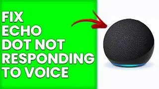 How To Fix Echo Dot Not Responding To Voice (In-depth Tutorial To Resolve The Issue At Hand)