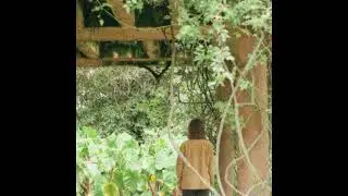 Jardines Interiores - Sara