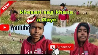Aaj a gaye khesari Sag😍 khane ke liye