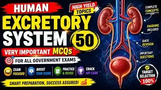 Human Excretory System | 50 Very Important MCQs For All Government Exams |