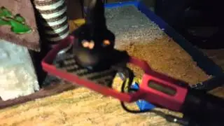 X-rotor 20amp ESC not working.