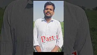 మిర్చి సాగు పెట్టుబడి ఎంత..? | Next Generation Ee Mirchi Field Loki Ravachaa..?