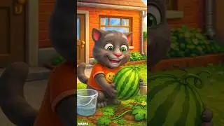 🌱🍉 Talking Tom happily taking care of his watermelon garden!