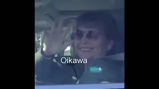 haikyuu as vines | seijoh edition