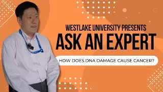 How Does DNA Damage Cause Cancer? | Ask an Expert