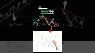 Trading ট্রেডিং #shorts #trading #crypto #forex #bitcoin