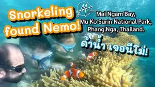 Snorkeling found Nemo! | ดำน้ำเจอนีโม่ | Mai Ngam Bay, Mu Ko Surin islands NationalPark | อ่าวไม้งาม