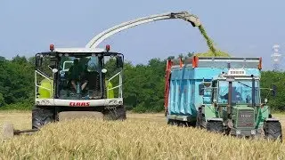 Claas Jaguar 960 & Direct Disc 520 | Fendt 612-820 | NH T5060 | Same Iron 170