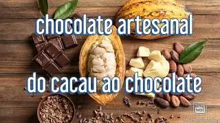 chocolate artesanal.  do cacau ao chocolate
