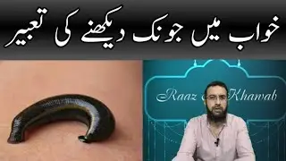 Khwab mein Jonk Dekhne ki Tabeer || Seeing Leech in Dreams || Raaz e Khawab || Urdu/Hindi