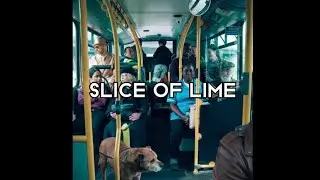 The Reytons - Slice of Lime - Lyrics