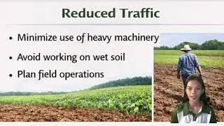 Management Strategies (Soil Compaction)