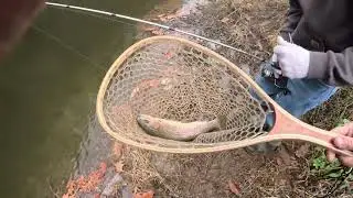 Trout Fishing Little River Floyd Va 2023