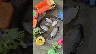 #keepvilla #waterpump #turtle #animals #tortoise #frog #fish #farming #fishing #keepvilladiy