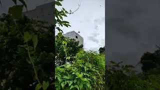 sp panggil andalan on 1 bulan  jossss link di deskripsi