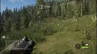 theHunter: Call of the Wild quick kill