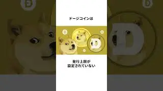 【1分で分かる】ドージコイン(DOGEコイン)の面白い雑学  #仮想通貨 #shorts