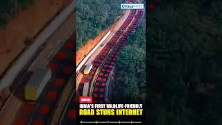 India&rsquo;s First Wildlife-Friendly Road Stuns Internet