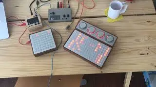 ndls: hi (4-track looper/delay/sampler for monome norns, grid, and arc)