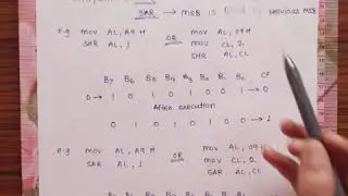 SHR/SAR shift towards right unsigned/signed instruction from 8086