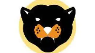 Wakanda Inu Crash: From Crypto Sensation to Near-Zero Value - A Cautionary Tale of Hype and Loss