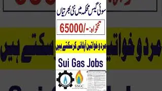SSGC Jobs 2024 | Sui Southern Gas Company Limited SSGC Jobs 2024 Online Apply | Govt Jobs 2024
